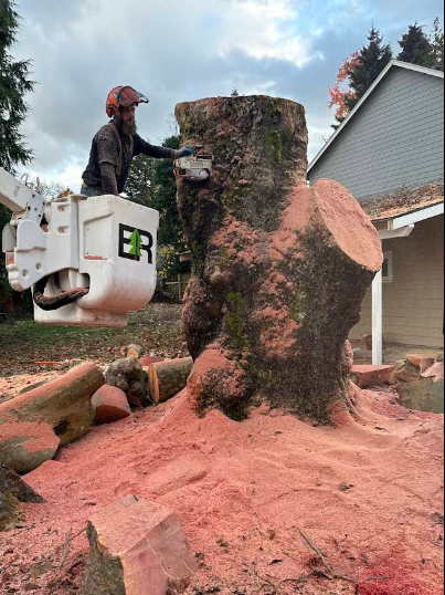 emergency-tree-service-vancouver-wa
