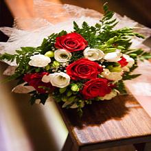image_processing20250407-581375-ehhop4