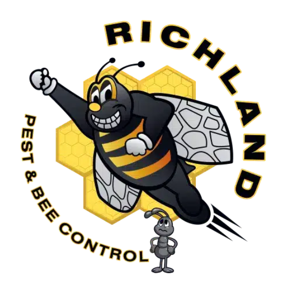 logo1