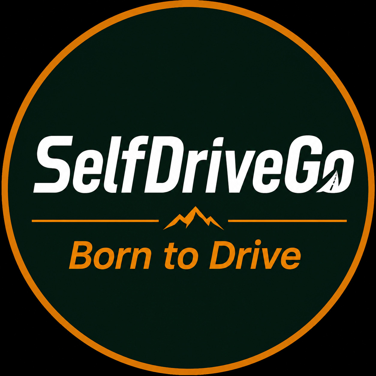 selfdrivego-1