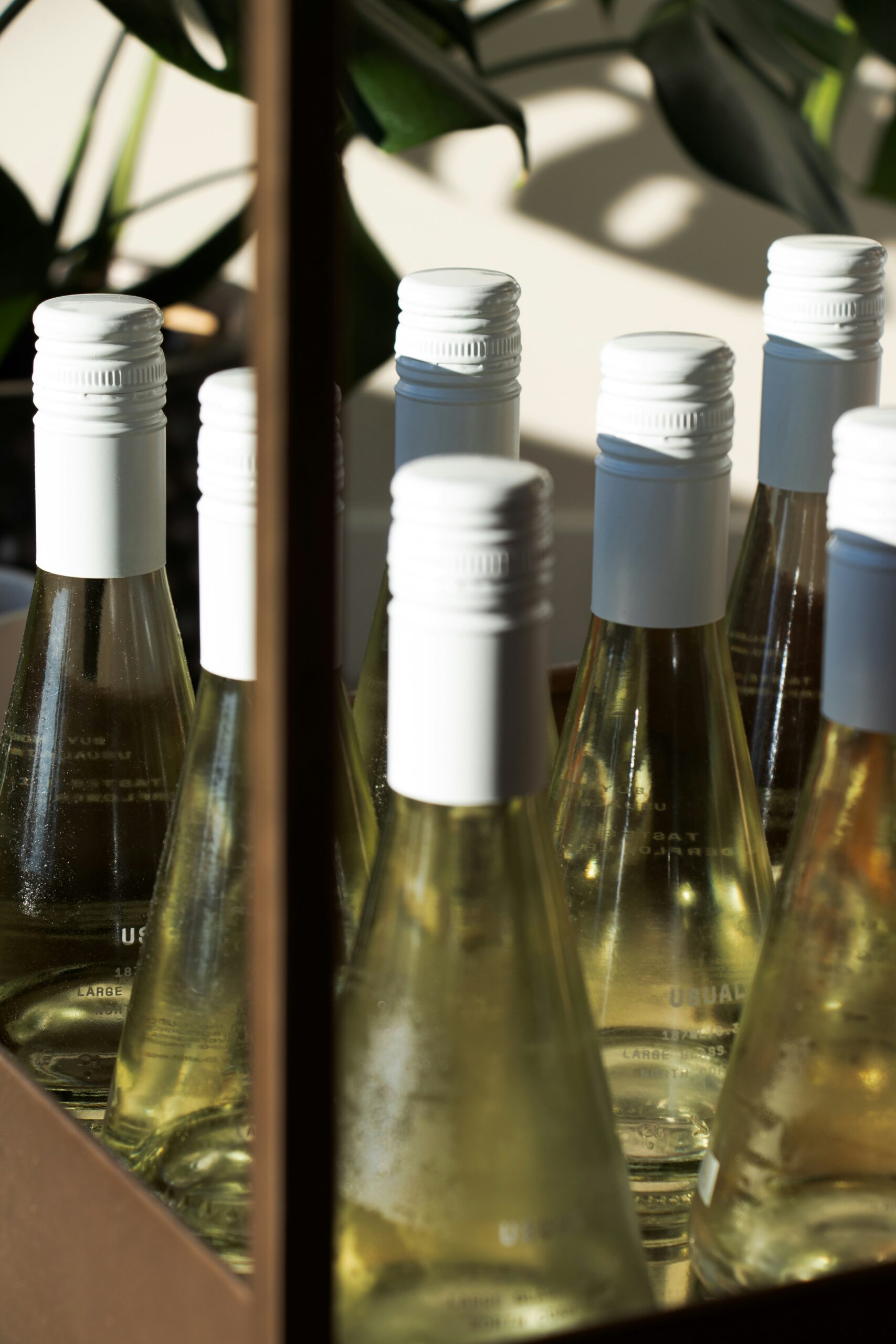 wine-bottles