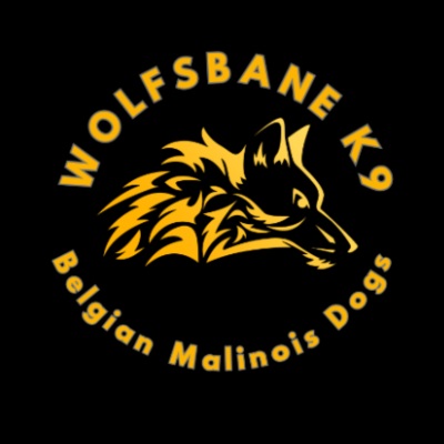 wolfsbanek9