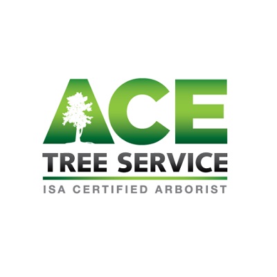 0.Tree-Service