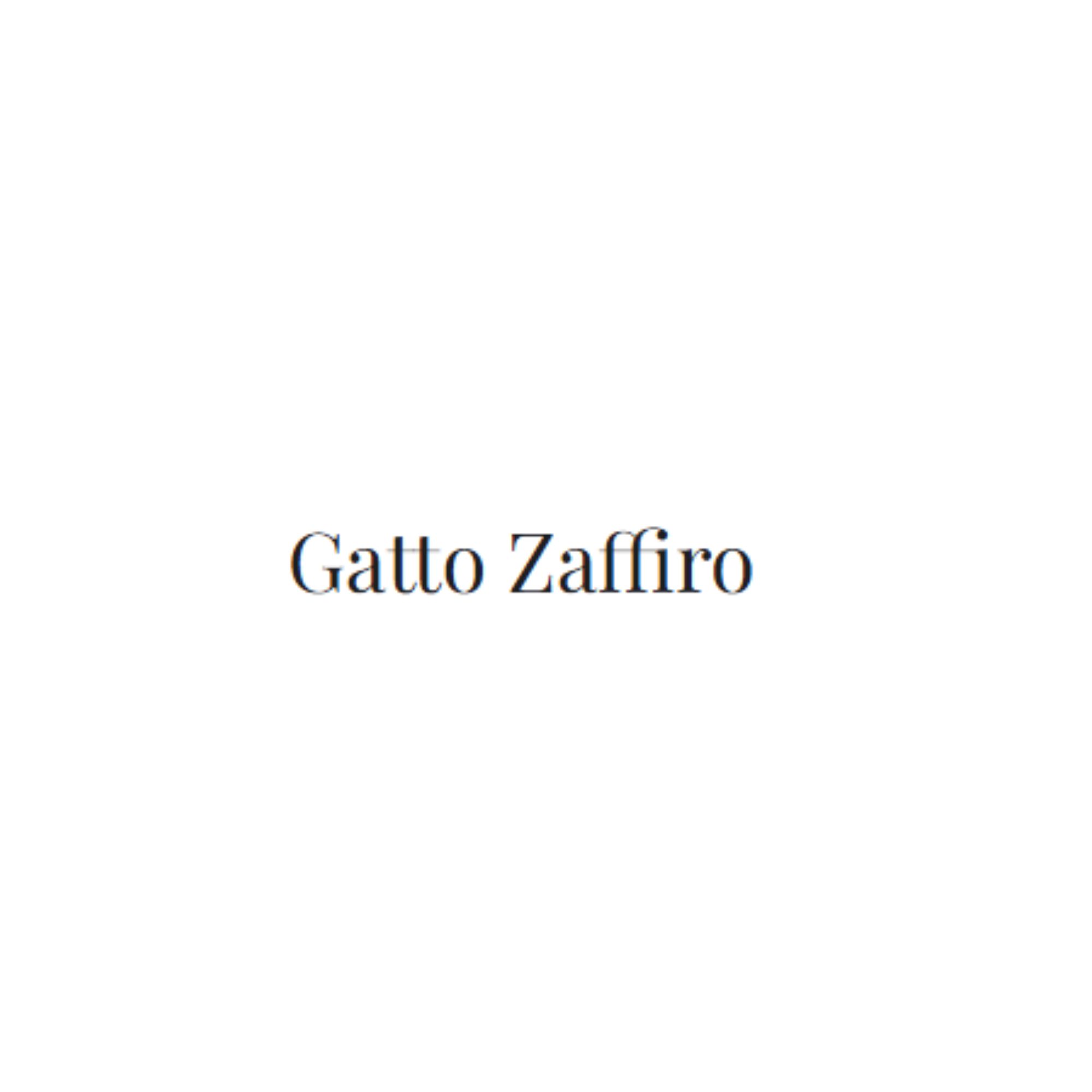 Gatto-Logo