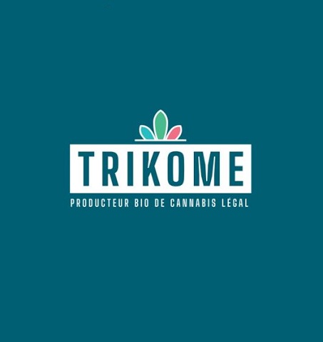 Logo-149