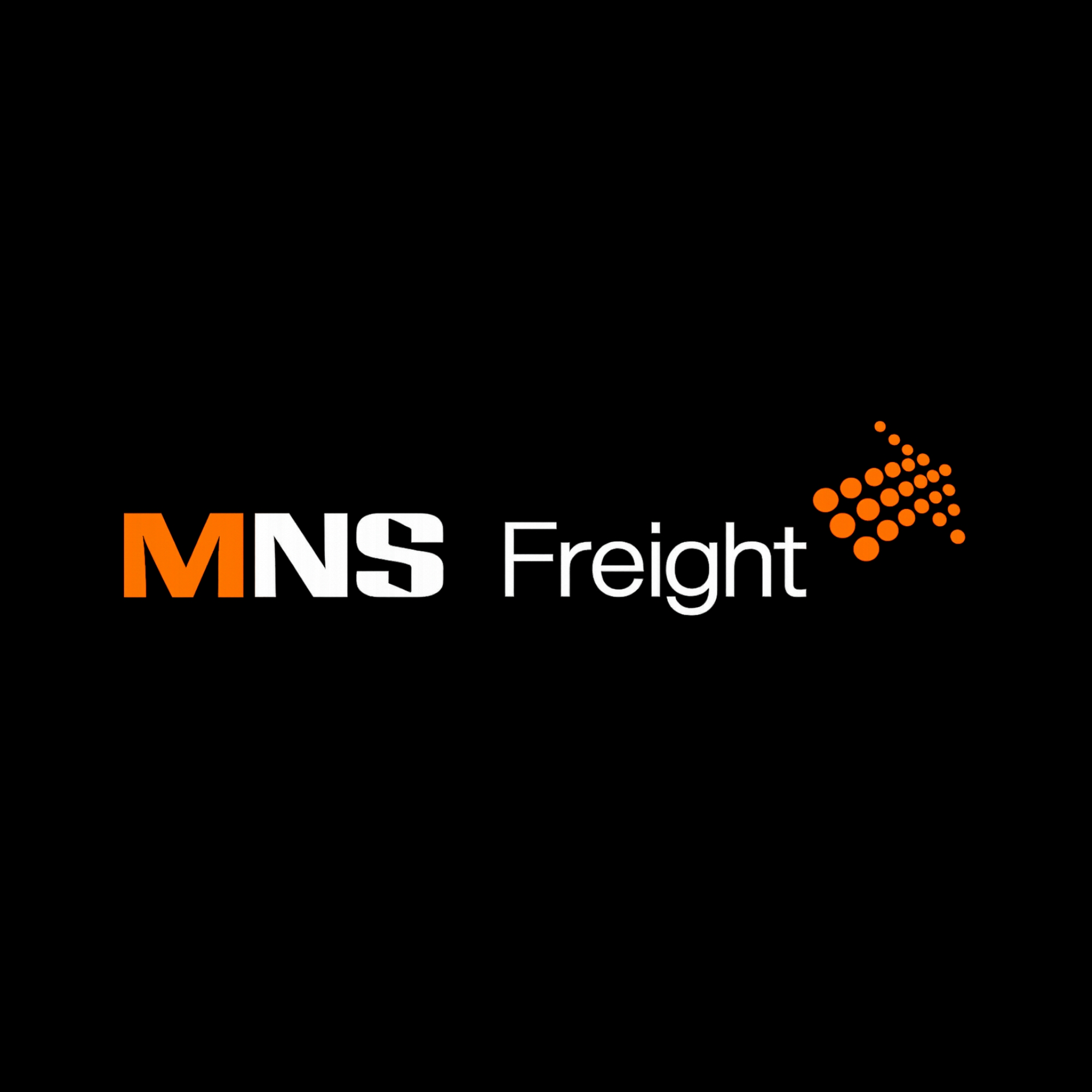 MNS_logo