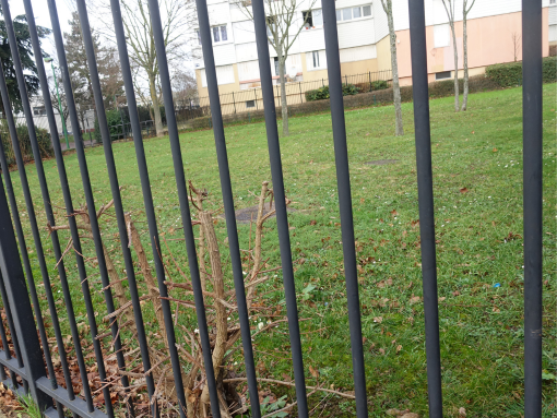 Metal-Fencing