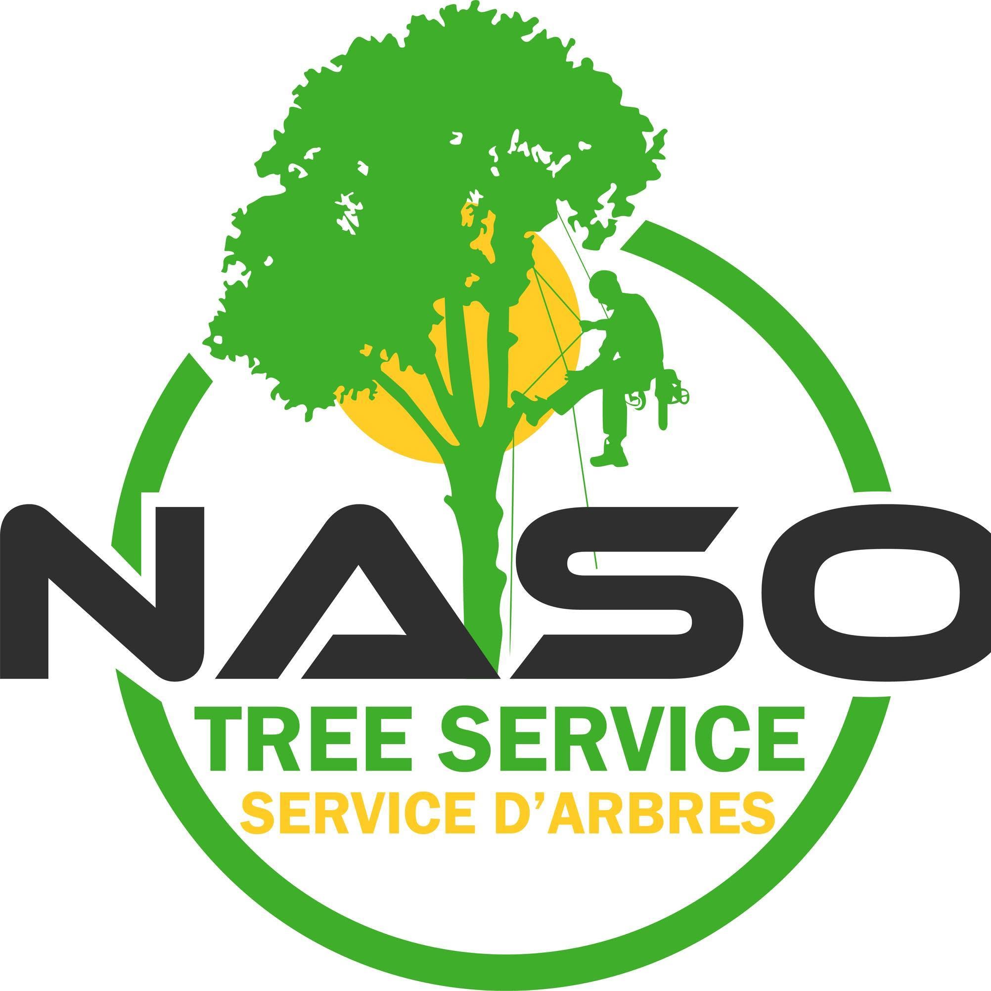 NASO-Service