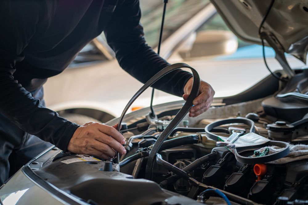 Photo_23917_1