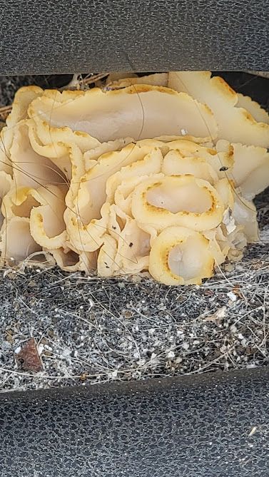 Photo_59858_1