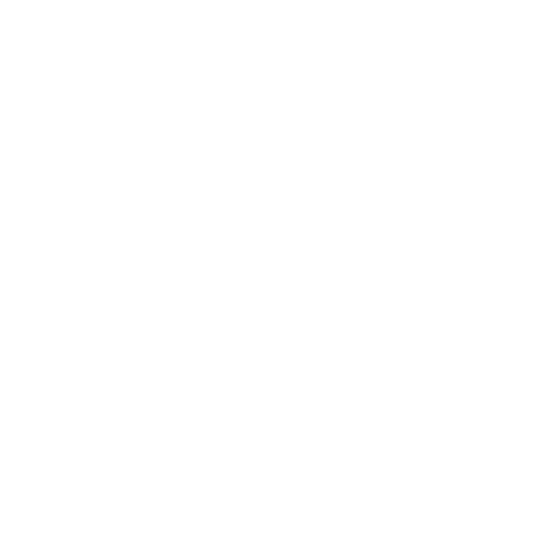 Strawberry-boudoir
