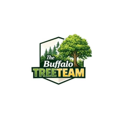 Tree-Service-Buffalo-NY-The-Buffalo-TreeTeam-1-1