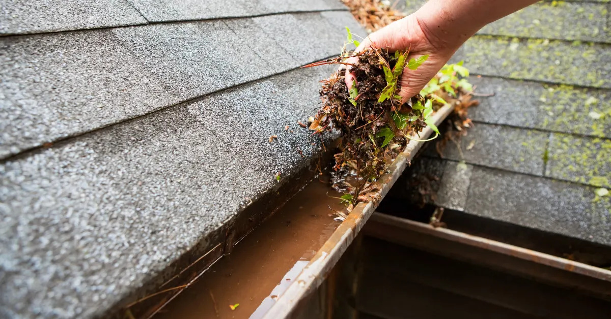 Why-is-Gutter-Cleaning-Important