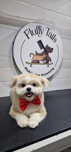 best-mobile-dog-grooming-qatar