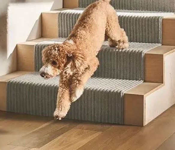 carpet-selection-considerations
