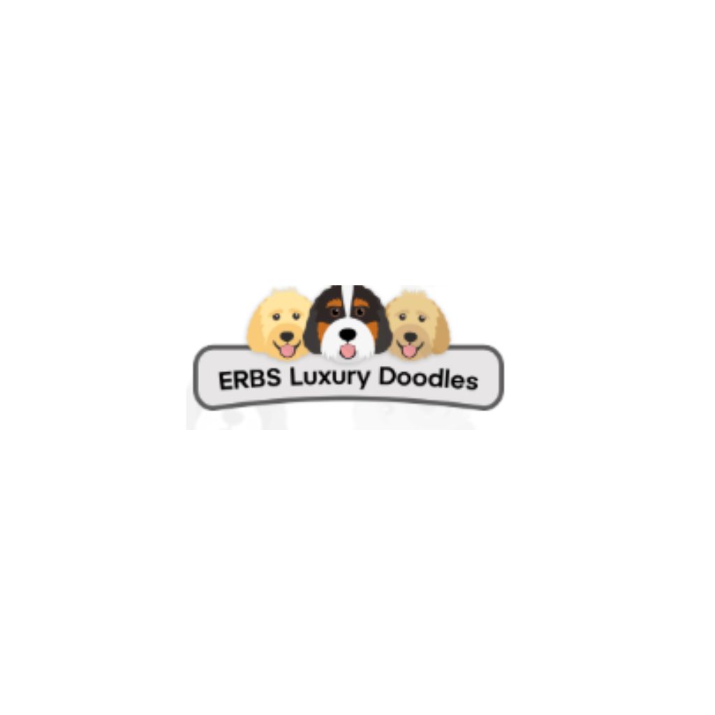erbsluxurydoodles