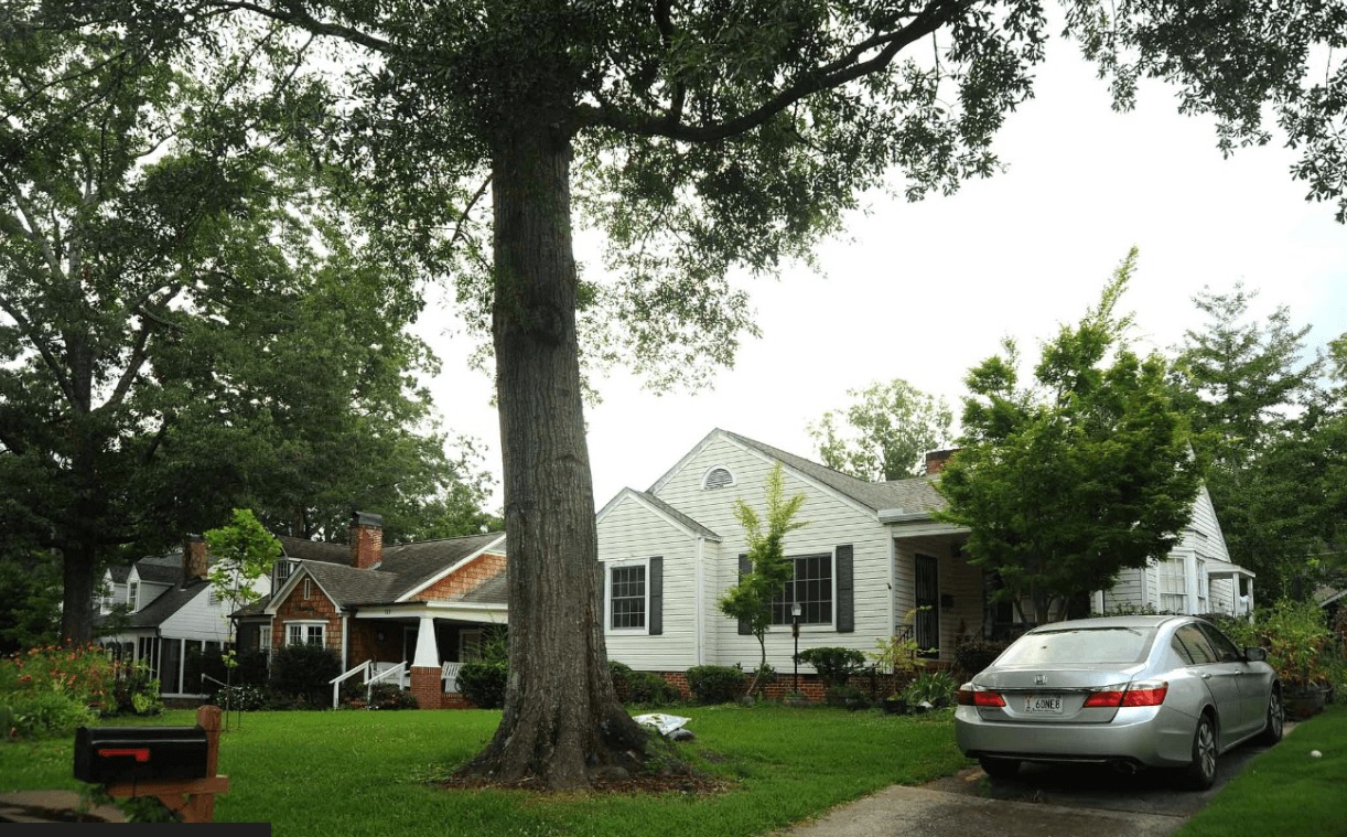 imgi_45_Tree-Removal-and-Replanting-in-Birmingham-2