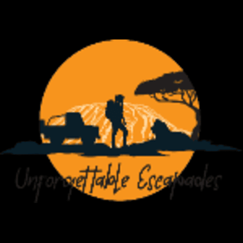 logo-1-2