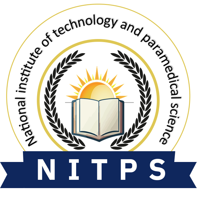 logo-11