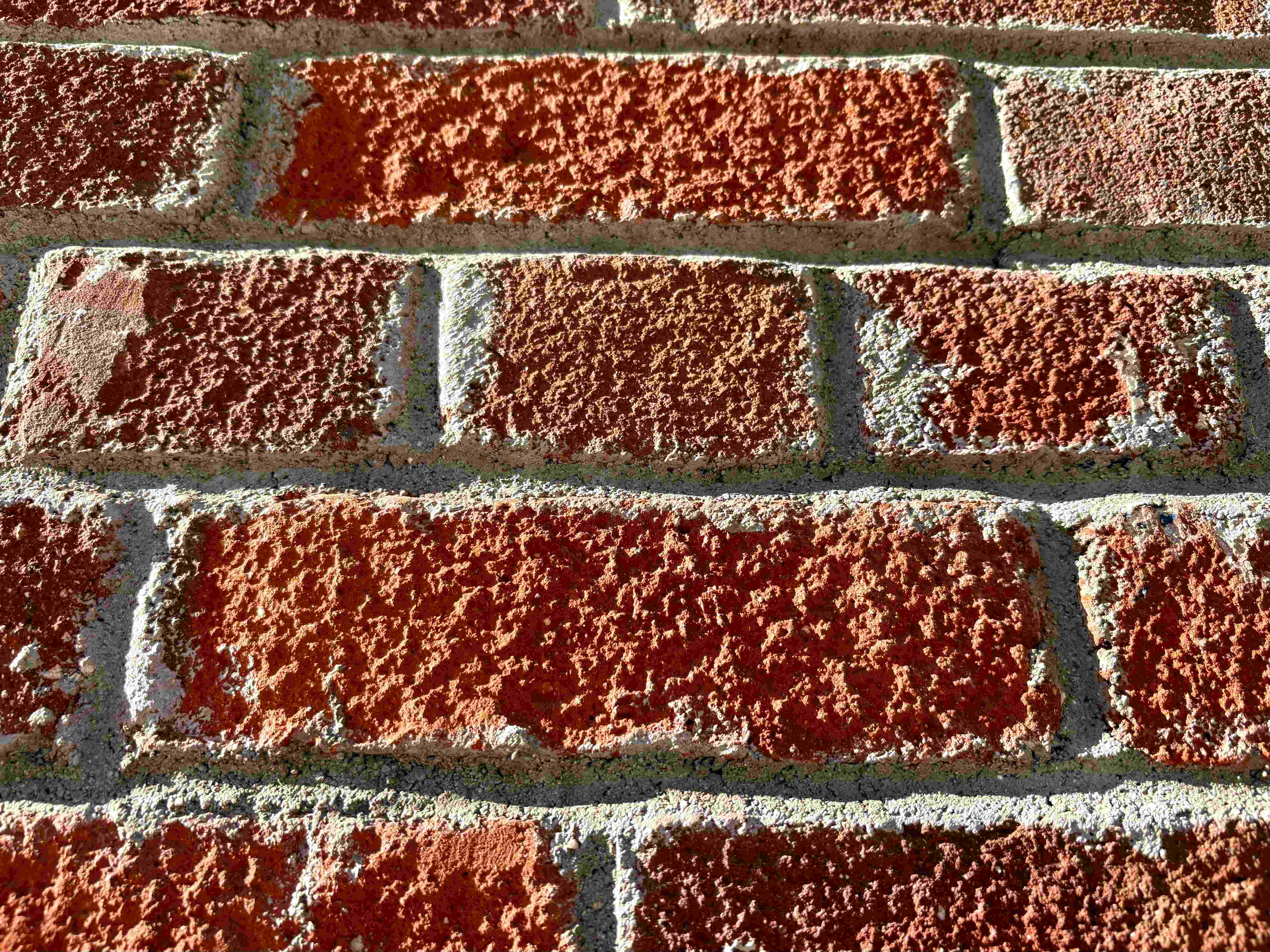 pexels-james-huff-2160692349-393