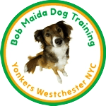 yonkers-westchester-dog-training