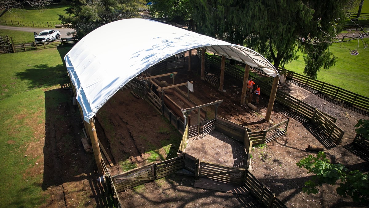 12m-x-12m-Cattleyards-Pole-Shelter-2