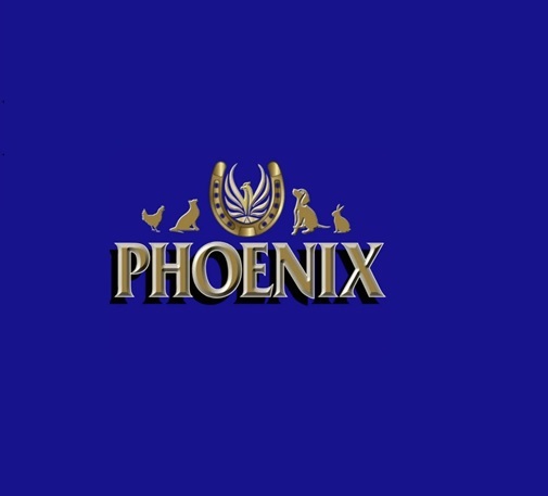 LOGO-1