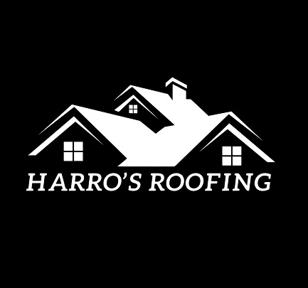 Logo1