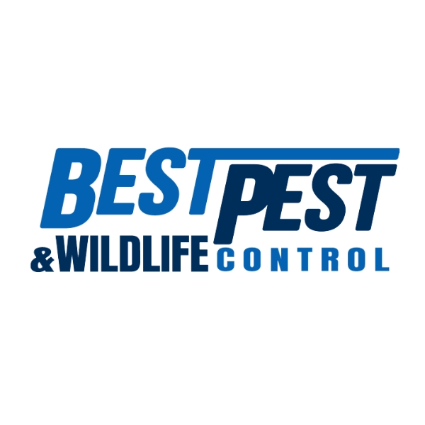 Logo600x600