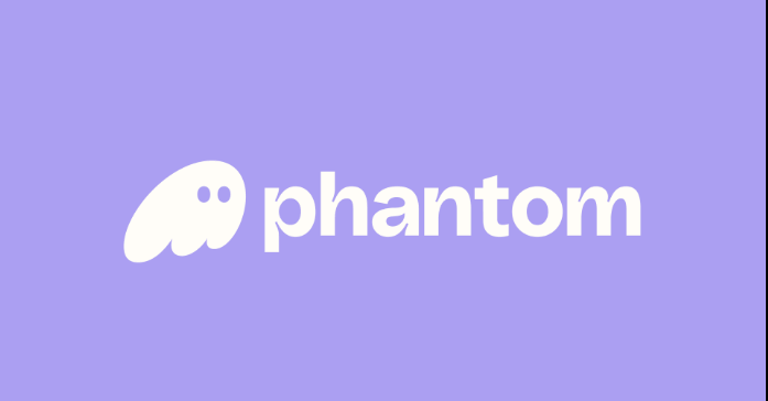 Phantom-Wallet-Covor