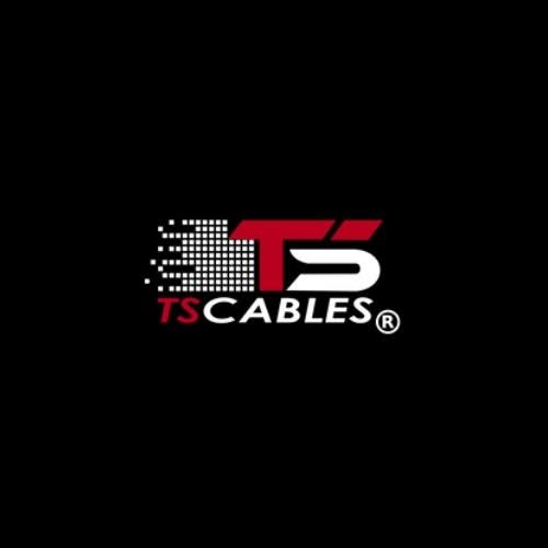 TS-Logo