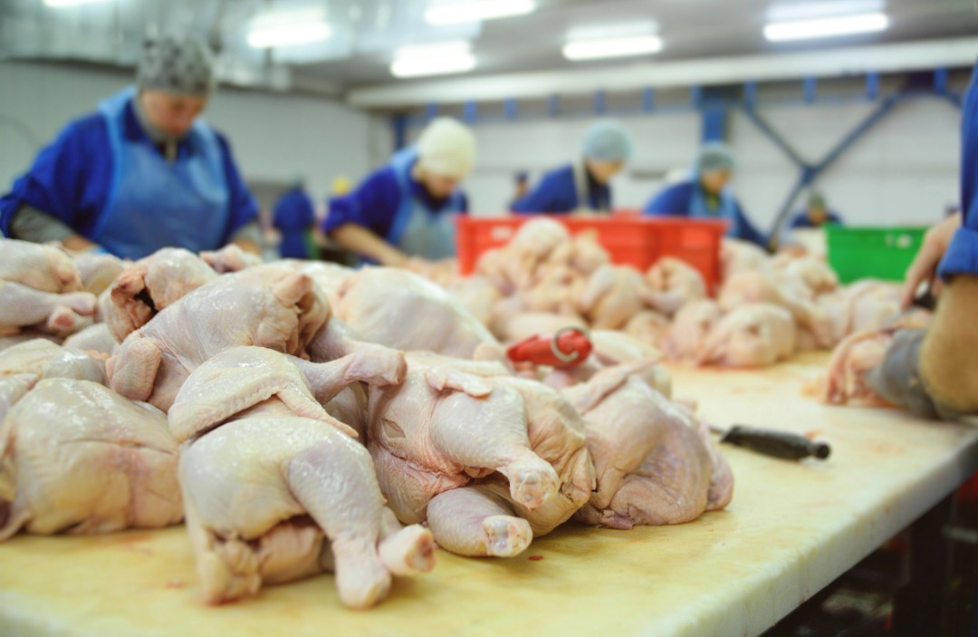 Whole-chicken-images-3