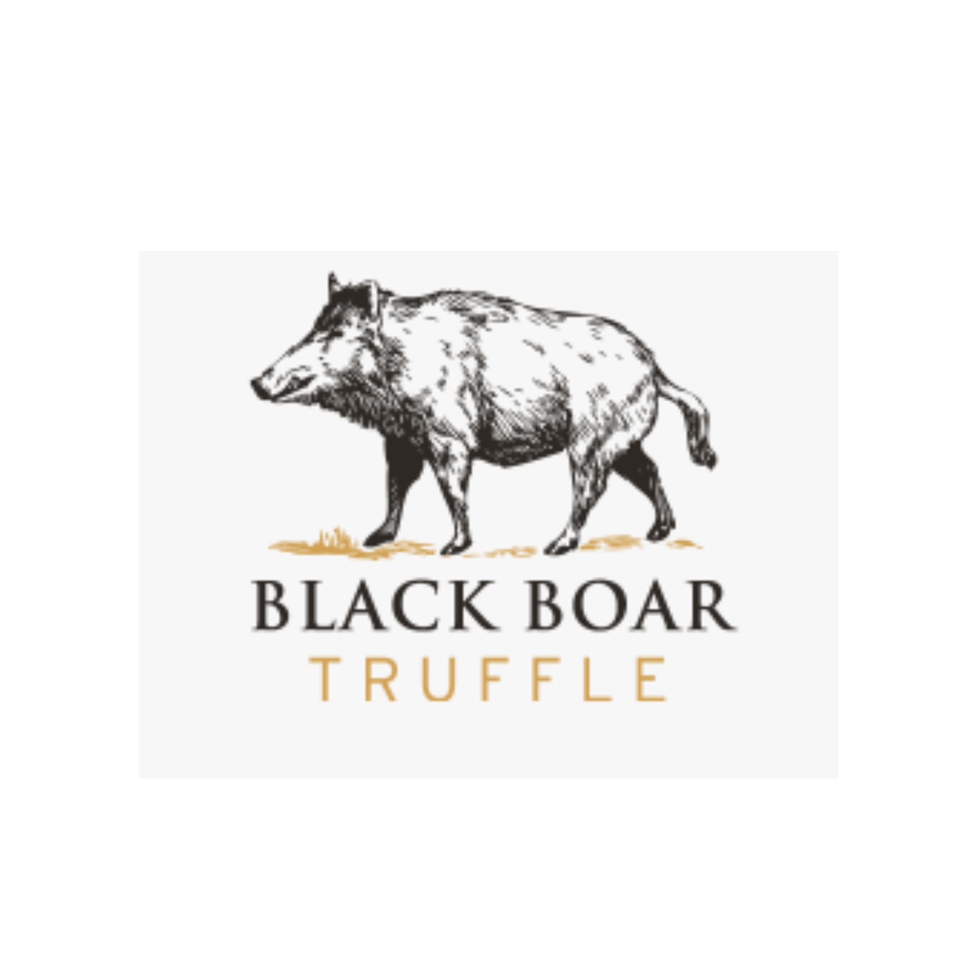 black-boar-logo