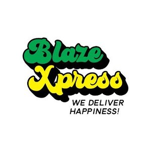 blazexpress.com_300x300