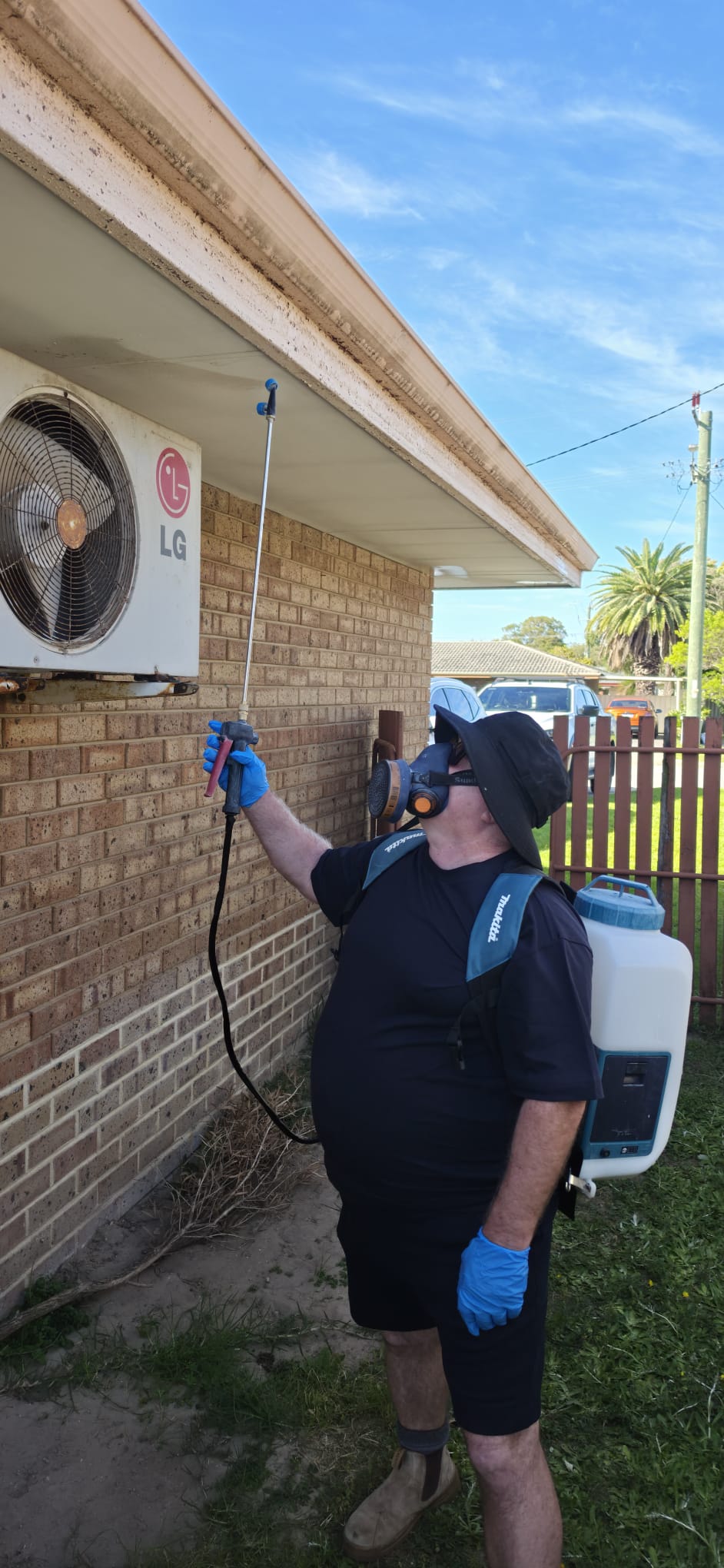 daley-pest-control-exterior-eaves-spider-spray-rockingham-perth