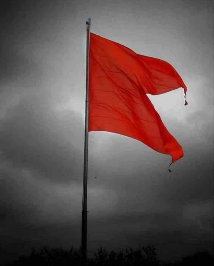 dp