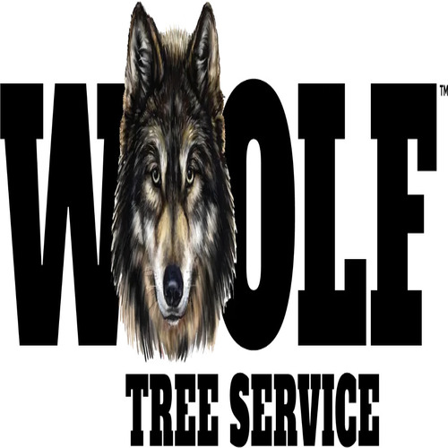 imgImageWoolfTreeServiceLogo_500x500