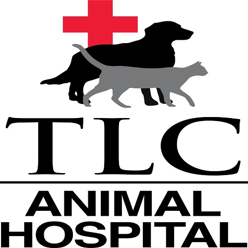 logo-290