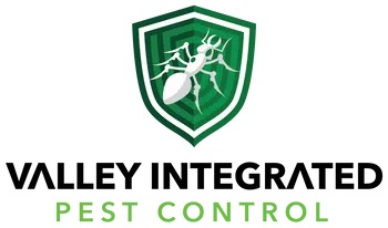 logo-original