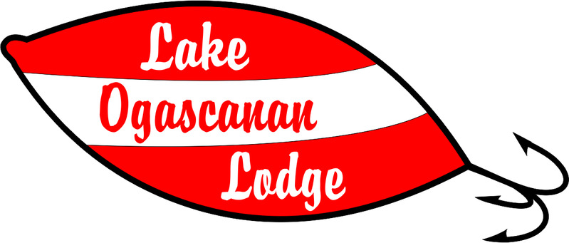 ogascanan-2