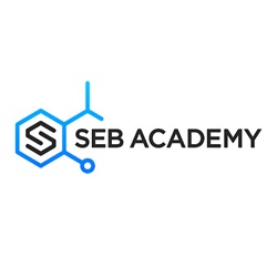 seb-academy-logo