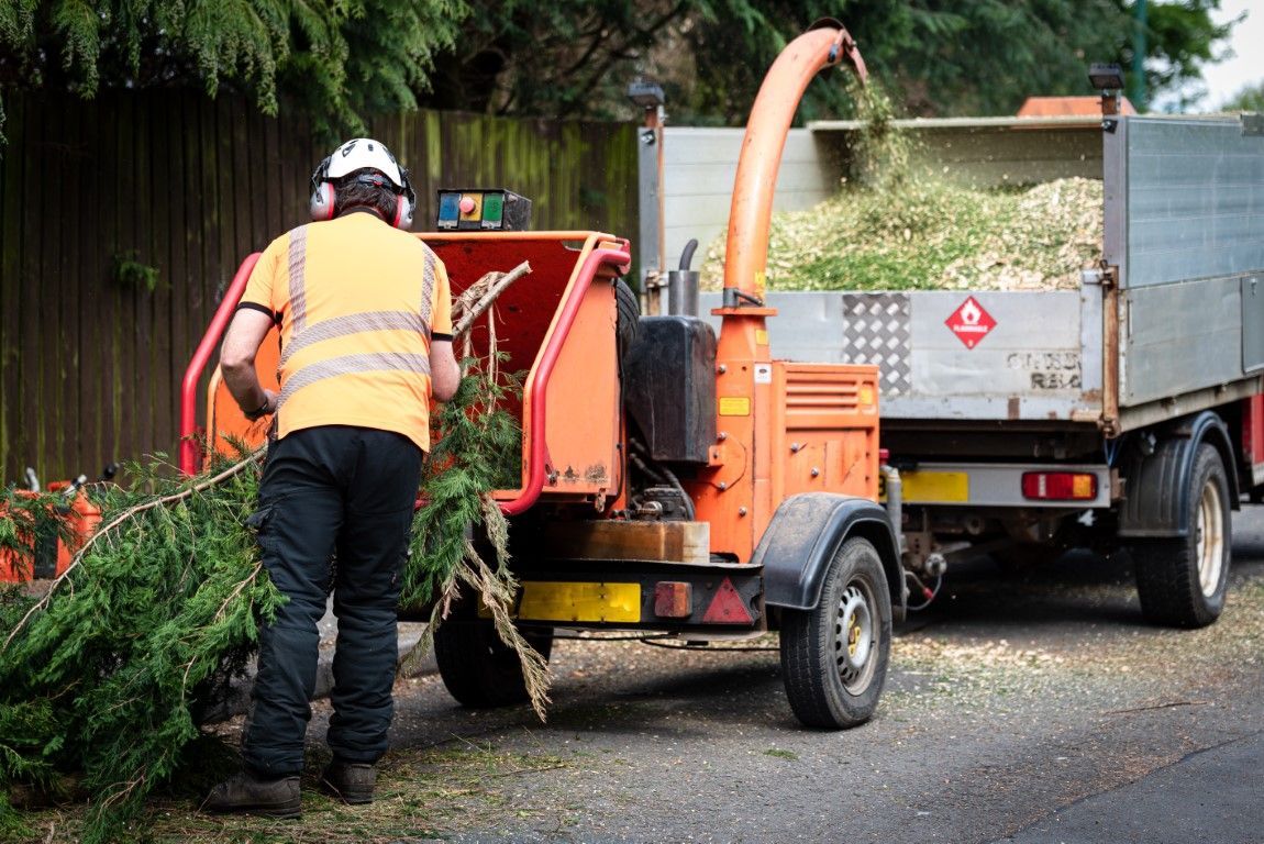 tree-service-company-in-Hattiesburg-MS-4-1920w