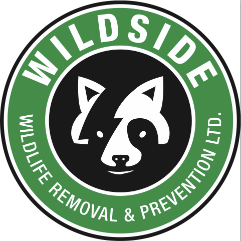 wildsidewildliferemoval.ca_